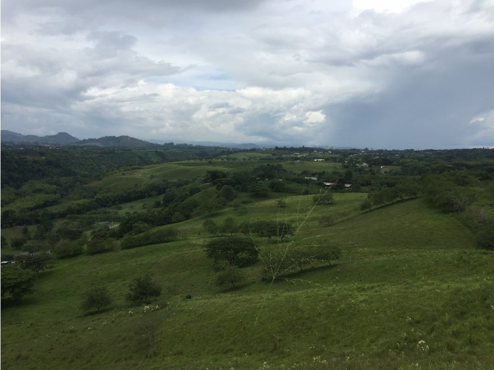 Se Vende Lote Campestre Pereira, Cerritos