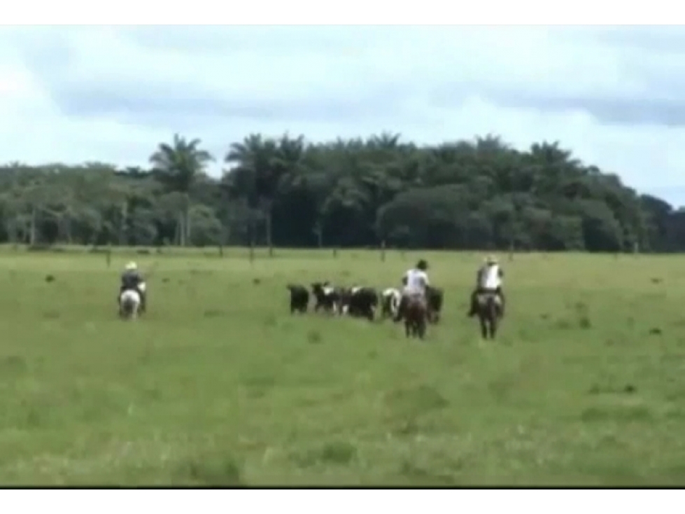 HACIENDA GANADERA, SECTOR SAN MARTIN, META  1700 HECTÁREAS