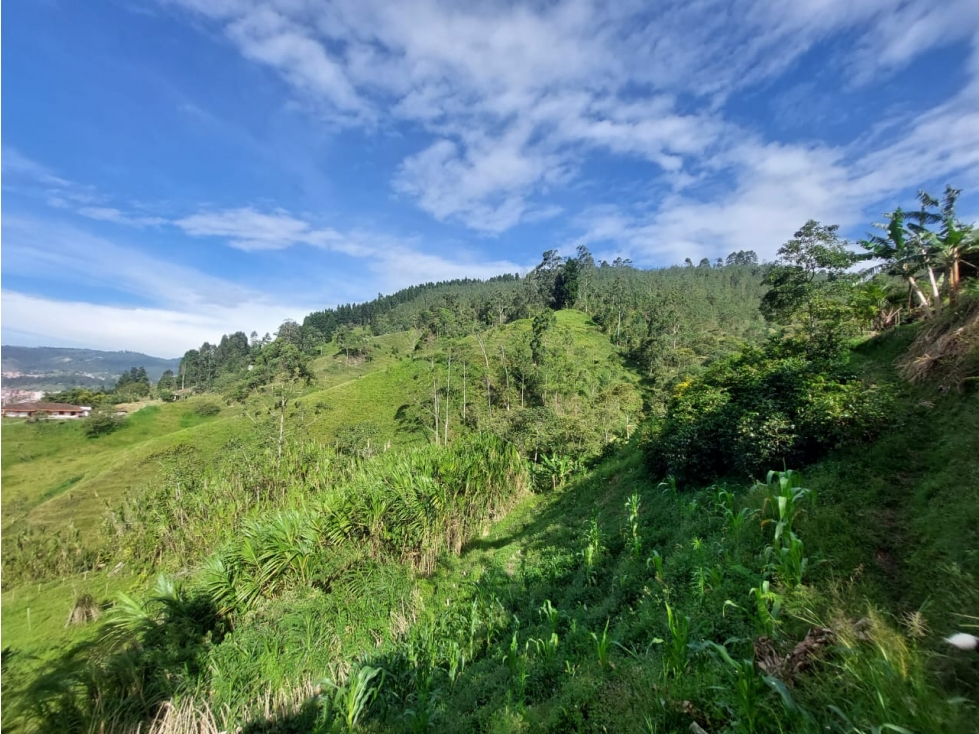 Venta de Lote en Caldas Antioquia - Vereda La Miel