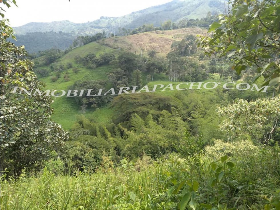 Vendo Finca en  Pacho Cundinamarca de 13 Faneg