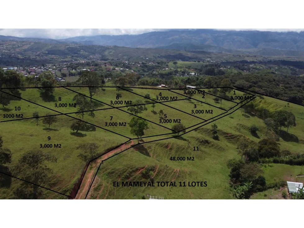 PARCELACIONES CAMPESTRES MAMEYAL Y VILLA  ROCIO