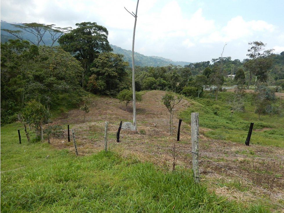 VENDO LOTES DE ENSUEÑO SAN FRANCISO CUNDINAMARCA