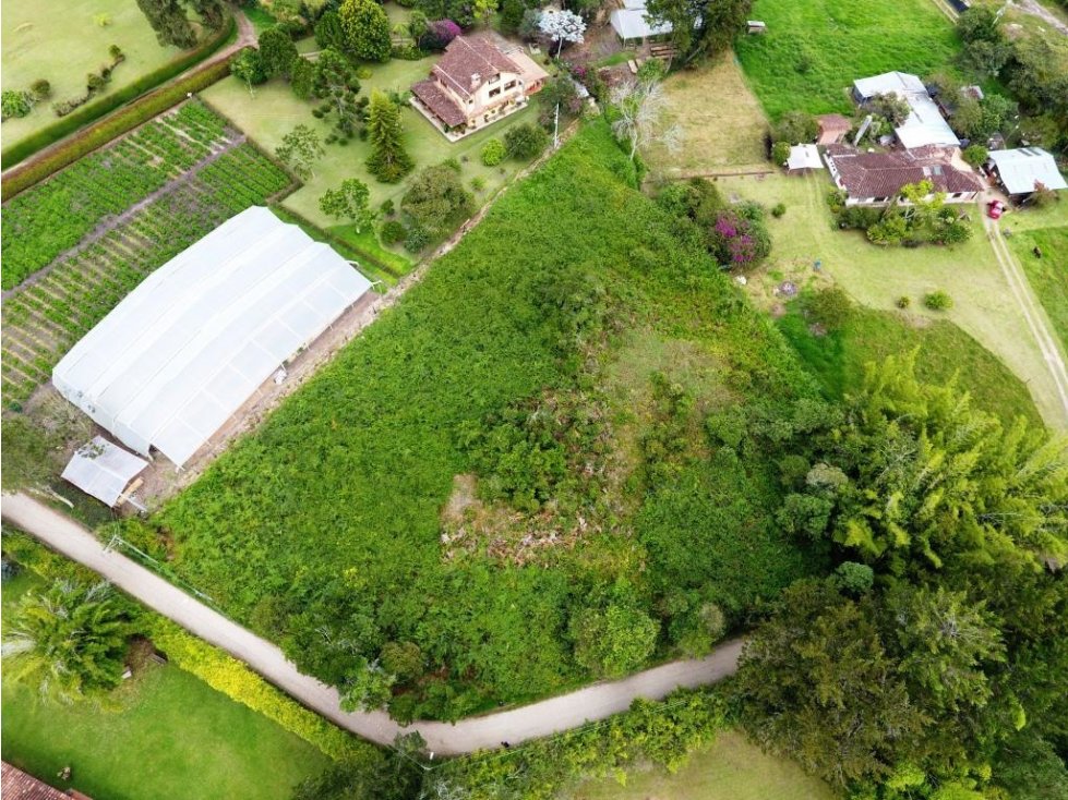 Lote Rionegro, Llanogrande