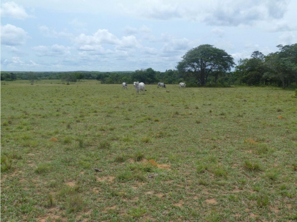 FINCA en VENTA entre Pto Lopez Y Pto Gaitan Meta.