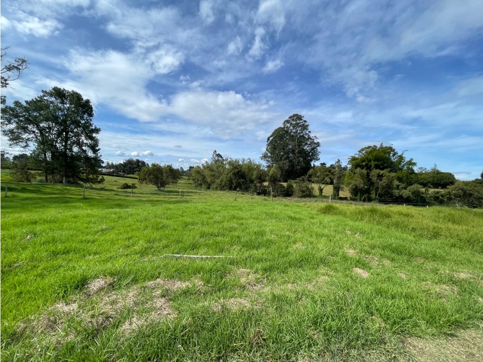 Lote en venta, Rionegro, Llanogrande.