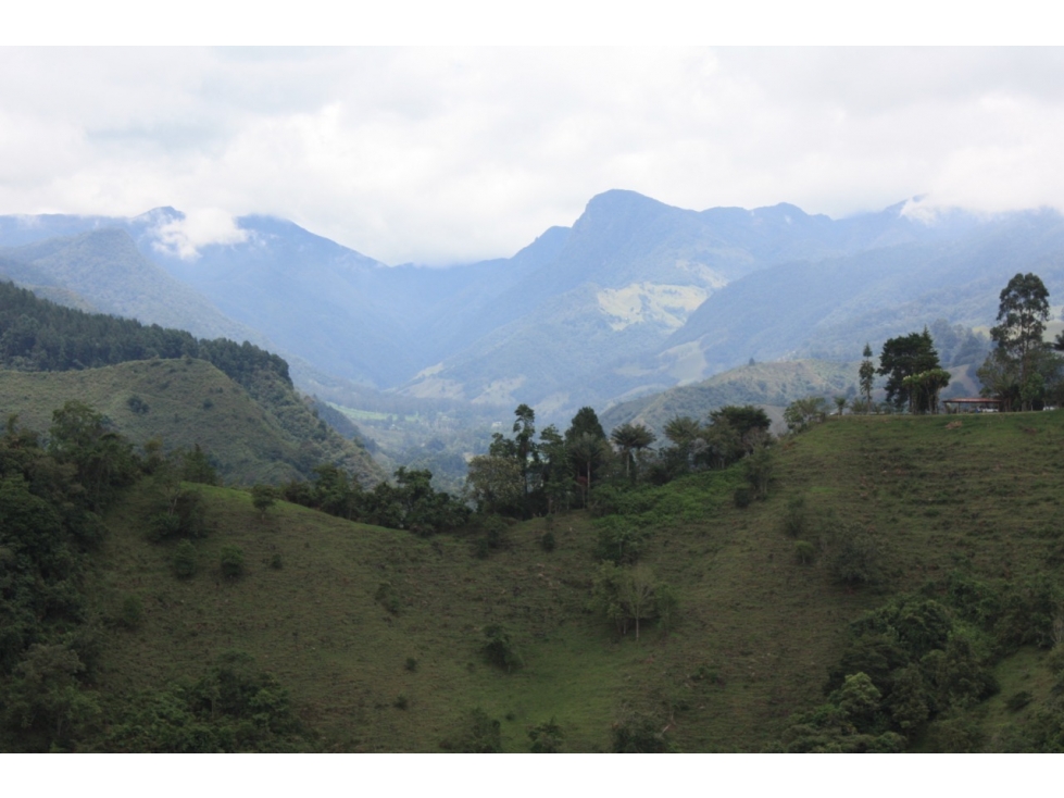 Se vende Finca Salento Quindío