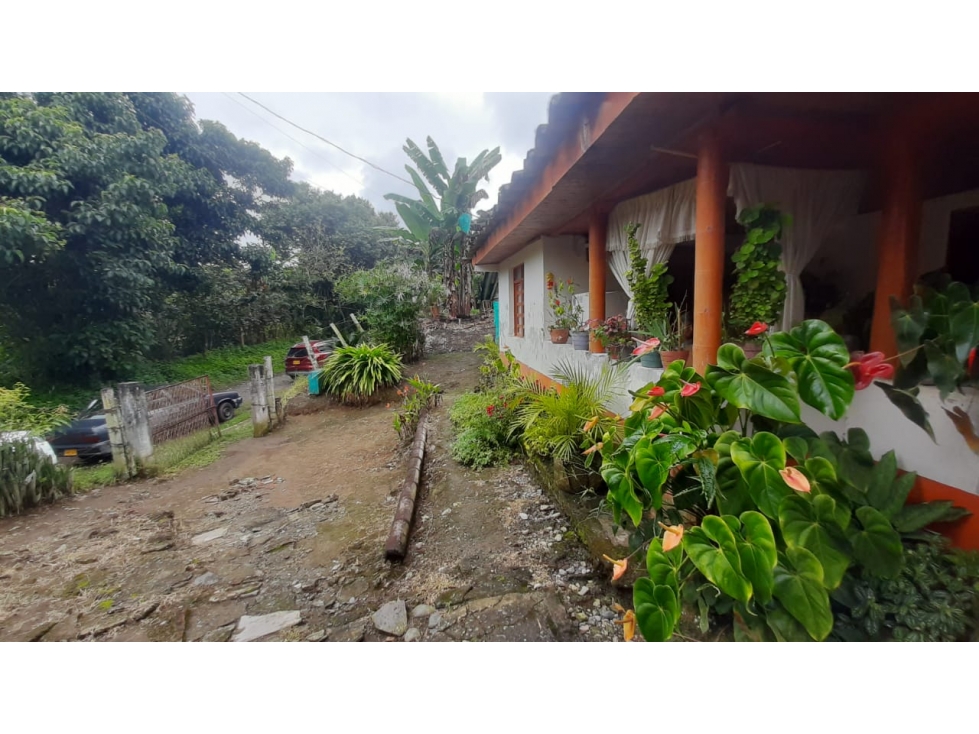 Se vende Finca Armenia - Montenegro Quindío