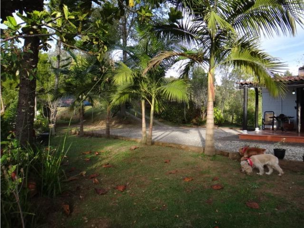 Venta de Finca en Rionegro, Antioquia