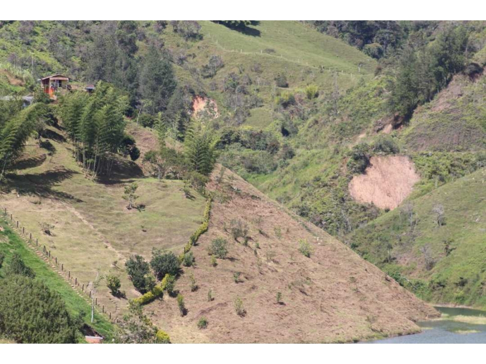 CASA LOTE PARA LA VENTA EN EL PEÑOL