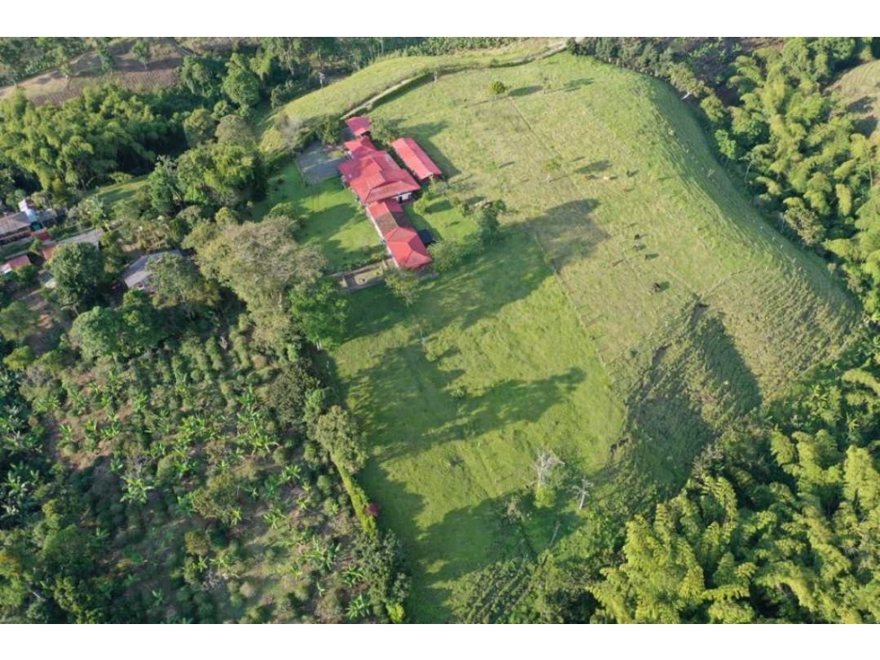 SE VENDE FINCA GANADERA VIA MONTENEGRO CIRCASIA QUINDIO