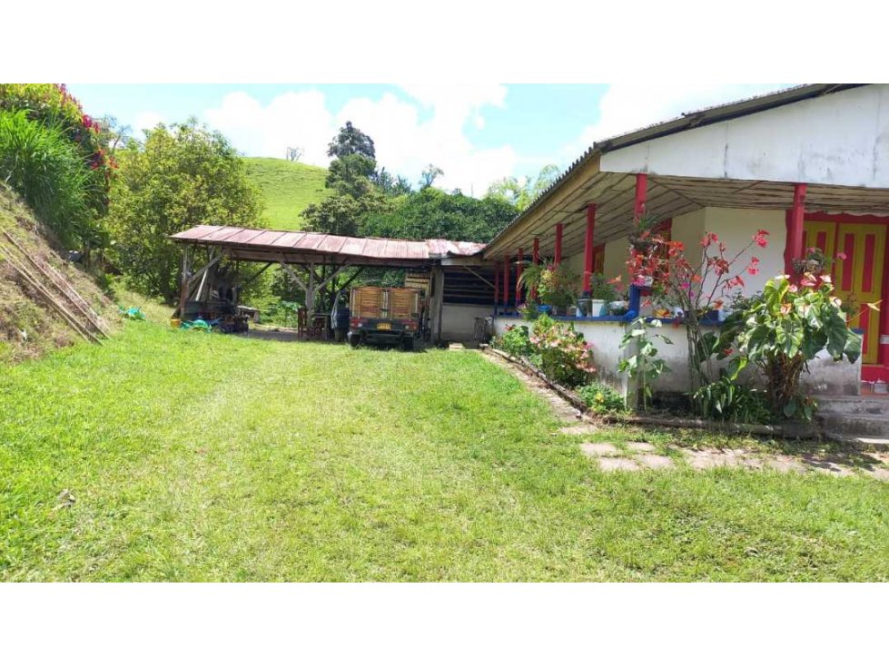 Se vende finca sembrada en platano en Calarcá Quindío