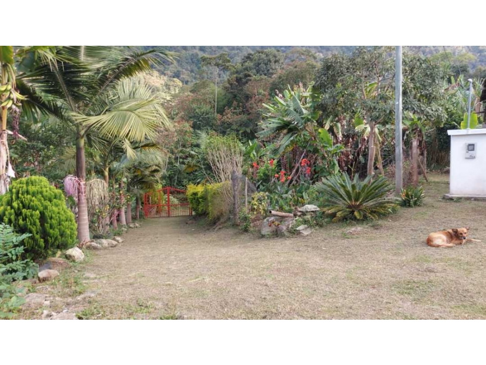 SE VENDE HERMOSA FINCA EN VENECIA