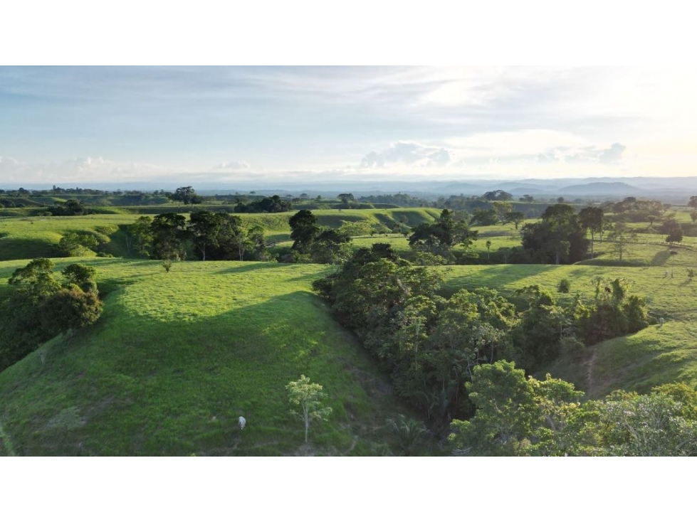 Finca ganadera en venta en el magdalena medio.