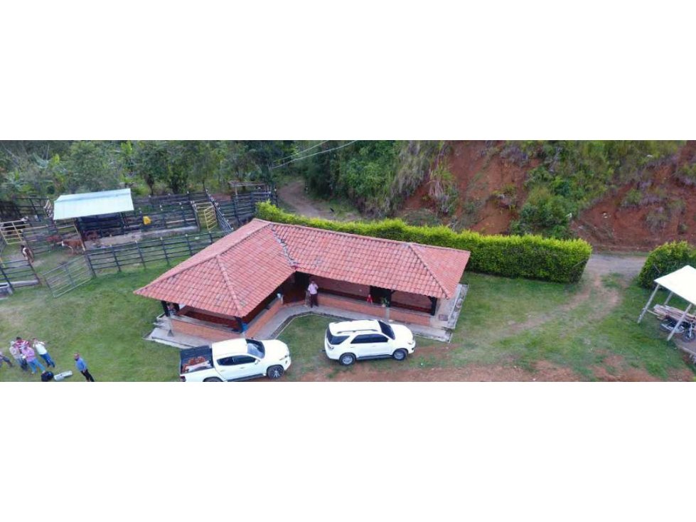 Vendo finca en belalcazar caldas a 4 kilómetros de Cristo Rey 64.000 m