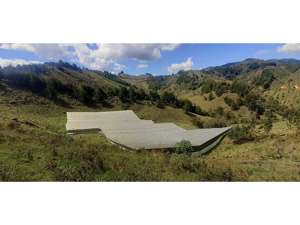 Vendo lote terreno con dos invernaderos en abejorral antioquia