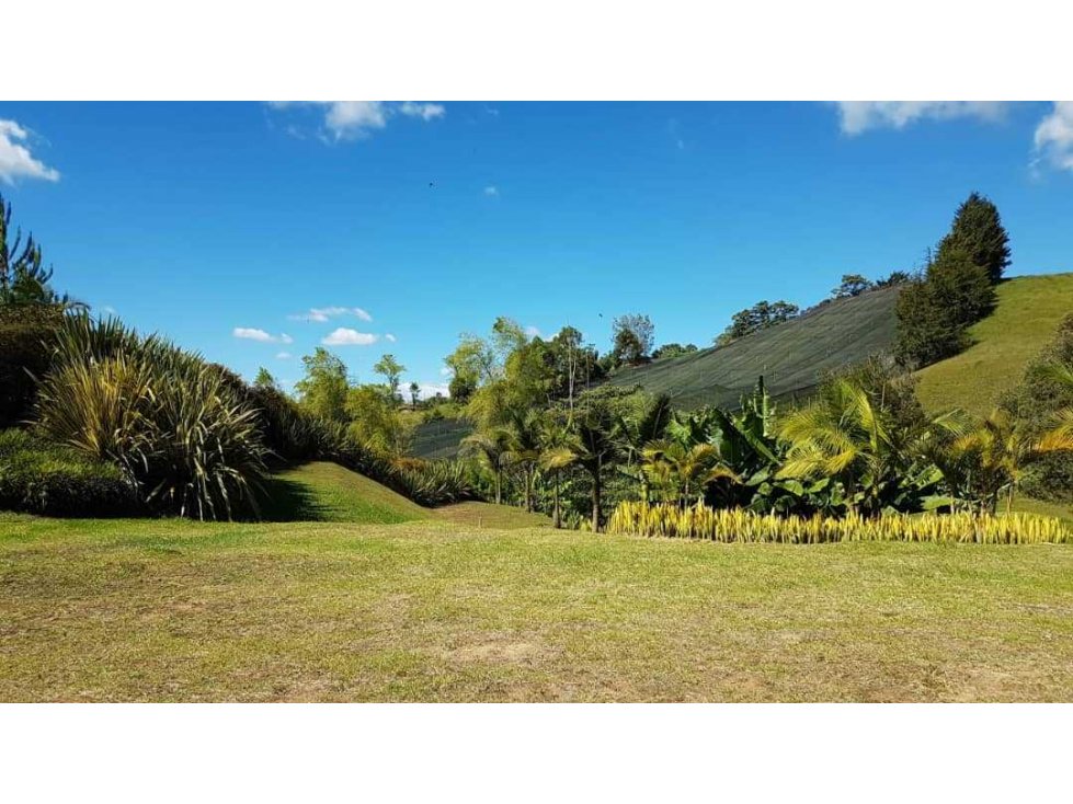 Venta de lote en el Carmen de viboral