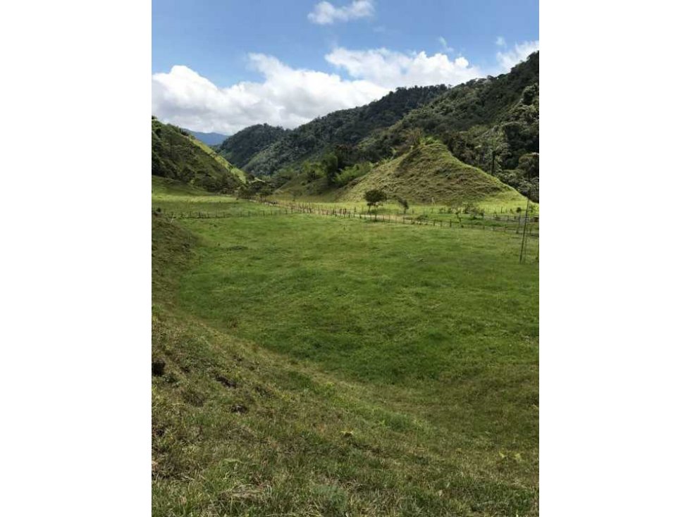 VENTA FINCA EN PUEBLO RICO RISARALDA COLOMBIA